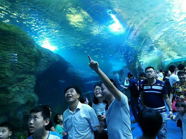 水族馆设计建设工程